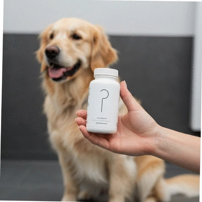 Close up of a dog owner holding a bottle of canine supplements next to a dog