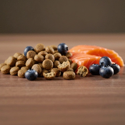 Close up of premium dog food kibble with fresh salmon and blueberries on a wooden surface